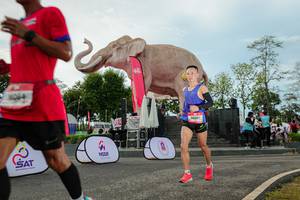 BIB: 
                            <button type="button" onclick="openModal(26529070)" class="btn btn-primary btn-sm float-right btn-popup" data-toggle="modal" data-target=".modal-high-quality">
                        <i class="fas fa-shopping-cart"></i> Add to Cart
                    </button>
                                            <button type="button" onclick="isThisMe(26529070, true)" class="btn btn-success btn-sm float-right btn-popup btn-isme hidden" data-toggle="tooltip" data-placement="bottom" title="นี่คือรูปของคุณใช่ไหม คลิกที่นี่เพื่อเอาเข้าอัลบั้ม">
                        <i class="fas fa-plus"></i> Add to album
                    </button>
                    <button type="button" onclick="isThisMe(26529070, false)" class="btn btn-warning btn-sm float-right btn-popup btn-isnotme hidden">
                        <i class="fas fa-ban"></i> Remove from album
                    </button>